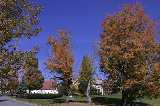 008-margaretville-mountain-inn-fall
