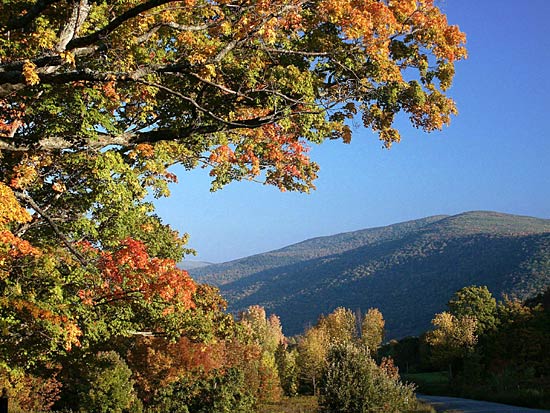 012-margaretville-mountain-inn-fall