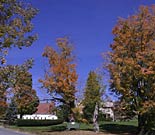 008-margaretville-mountain-inn-fall