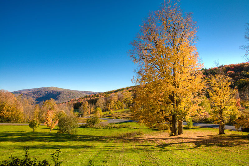 a01 catskills wedding 1013