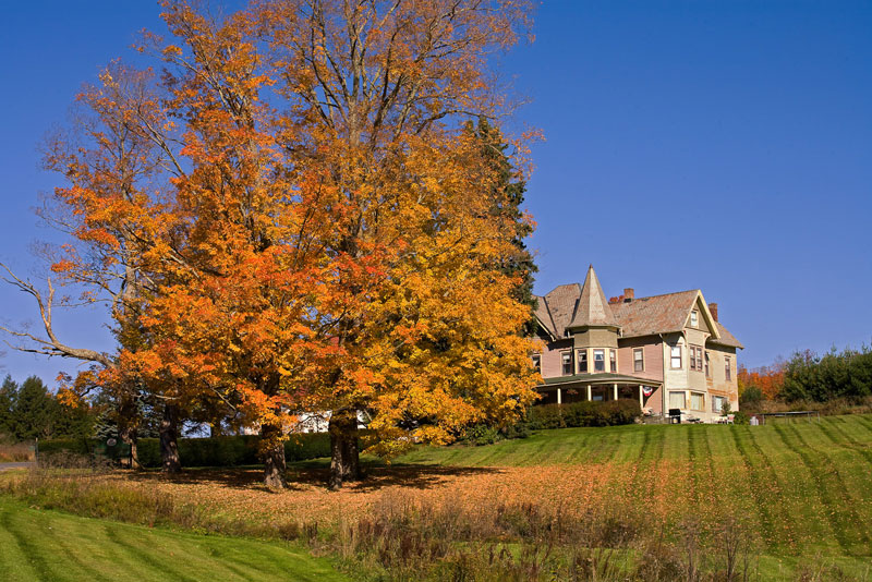 a10 catskills wedding 3487